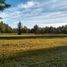  Land for sale in Neuquen, Confluencia, Neuquen