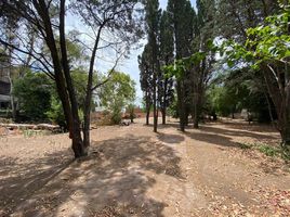  Grundstück zu verkaufen in Lomas De Zamora, Buenos Aires, Lomas De Zamora