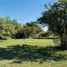  Land for sale in Colon, Entre Rios, Colon