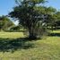  Land for sale in Colon, Entre Rios, Colon