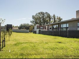 Terrain à vendre à La Plata, Buenos Aires, La Plata
