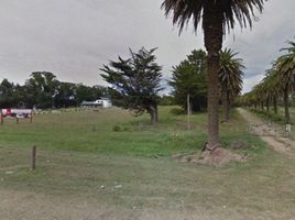  Land for sale in Tandil, Buenos Aires, Tandil