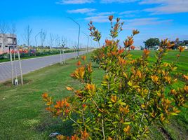  Terreno (Parcela) en venta en Santa Fe, Rosario, Santa Fe