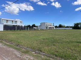  Land for sale in La Plata, Buenos Aires, La Plata