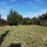  Land for sale in Colon, Entre Rios, Colon