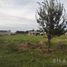  Land for sale in Misiones, Capital, Misiones