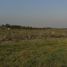  Grundstück zu verkaufen in Lujan, Buenos Aires, Lujan