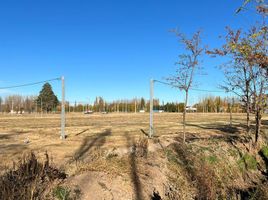  Terreno (Parcela) en venta en Confluencia, Neuquen, Confluencia