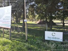  Grundstück zu verkaufen in Berazategui, Buenos Aires, Berazategui