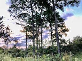  Terreno (Parcela) en venta en Calamuchita, Cordobá, Calamuchita