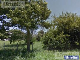  Land for sale in Tungurahua, Ambato, Ambato, Tungurahua