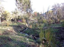  Land for sale in Cushamen, Chubut, Cushamen, Chubut