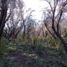 Land for sale in Cushamen, Chubut, Cushamen, Chubut
