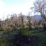  Land for sale in Cushamen, Chubut, Cushamen, Chubut