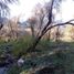  Land for sale in Cushamen, Chubut, Cushamen, Chubut