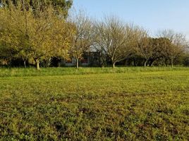  Land for sale in La Plata, Buenos Aires, La Plata