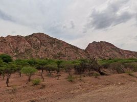  Terreno (Parcela) en venta en Cafayate, Salta, Cafayate