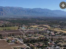  Terreno (Parcela) en venta en Cafayate, Salta, Cafayate