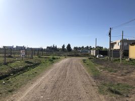  Land for sale in La Plata, Buenos Aires, La Plata