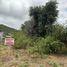  Land for sale in Punilla, Cordoba, Punilla