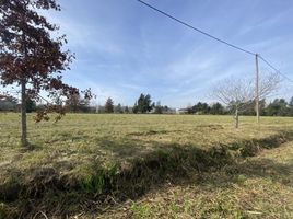  Land for sale in La Plata, Buenos Aires, La Plata