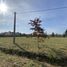  Land for sale in La Plata, Buenos Aires, La Plata