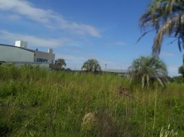  Land for sale in Concordia, Entre Rios, Concordia