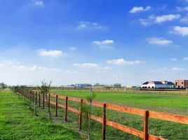  Land for sale in La Plata, Buenos Aires, La Plata