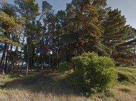  Land for sale in Tres Arroyos, Buenos Aires, Tres Arroyos