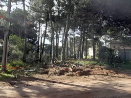  Land for sale in Pinamar, Buenos Aires, Pinamar