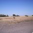  Land for sale in Patagones, Buenos Aires, Patagones