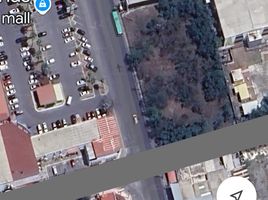  Terreno (Parcela) en alquiler en Monterrey, Nuevo León, Monterrey