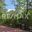  Land for sale in Cunduacan, Tabasco, Cunduacan, Tabasco