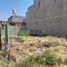  Land for sale in Zamora, Michoacan, Zamora