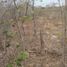  Terreno (Parcela) en venta en Tunkas, Yucatán, Tunkas