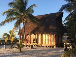 Studio Haus zu verkaufen in Lazaro Cardenas, Quintana Roo, Lazaro Cardenas, Quintana Roo