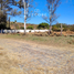 Land for sale in Ixtlahuacan De Los Membrillos, Jalisco, Ixtlahuacan De Los Membrillos