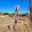  Land for sale in Ixtlahuacan De Los Membrillos, Jalisco, Ixtlahuacan De Los Membrillos