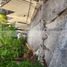  Land for sale in Monterrey Nuevo Leon, Monterrey