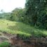  Land for sale in Popayan, Cauca, Popayan