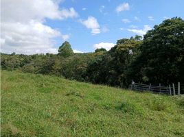  Land for sale in Popayan, Cauca, Popayan