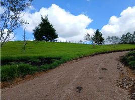  Land for sale in Popayan, Cauca, Popayan