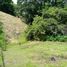  Land for sale in Tolima, Ibague, Tolima