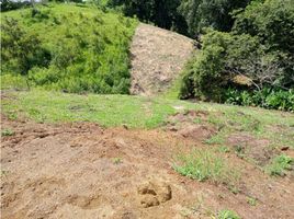  Terreno (Parcela) en venta en Ibague, Tolima, Ibague