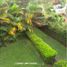 4 Bedroom House for sale in Antioquia, Medellin, Antioquia