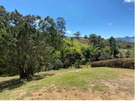  Land for sale in Rionegro, Antioquia, Rionegro