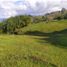  Land for sale in Rionegro, Antioquia, Rionegro