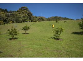  Terreno (Parcela) en venta en La Ceja, Antioquia, La Ceja