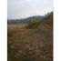  Land for sale in Guarne, Antioquia, Guarne