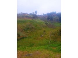  Terreno (Parcela) en venta en Guarne, Antioquia, Guarne